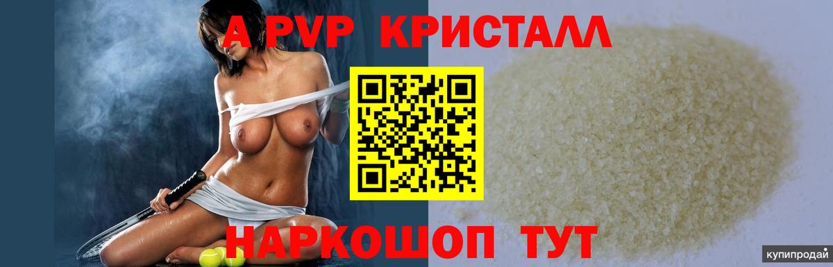 А ПВП СК Светлоград