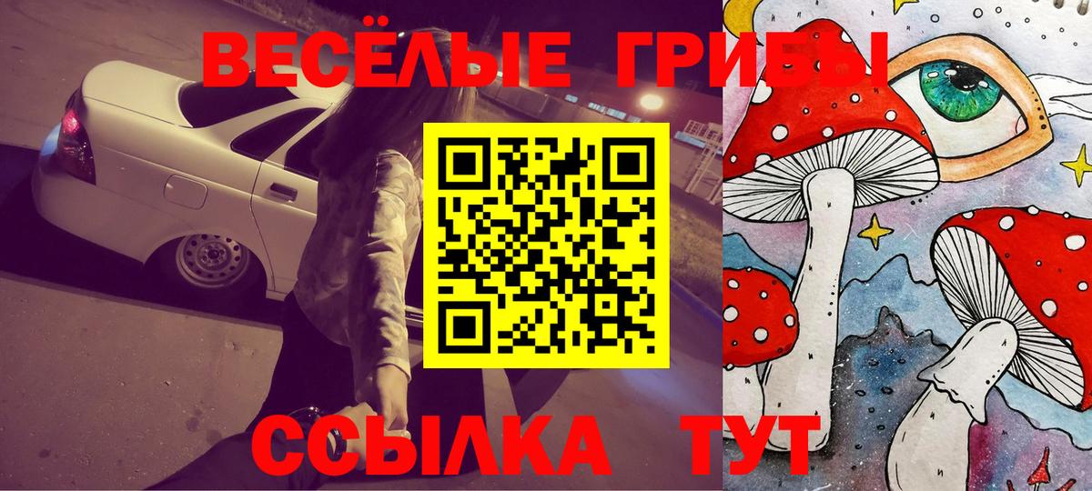 Псилоцибиновые грибы ЛСД Светлоград